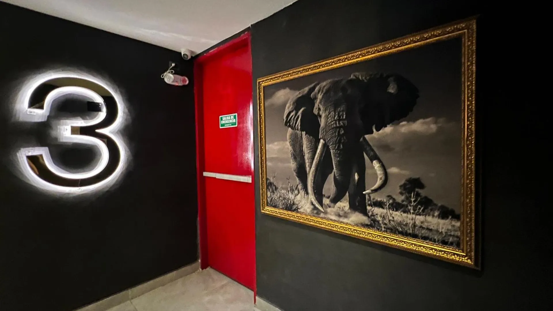 Hotel Zelva Negra Medellín