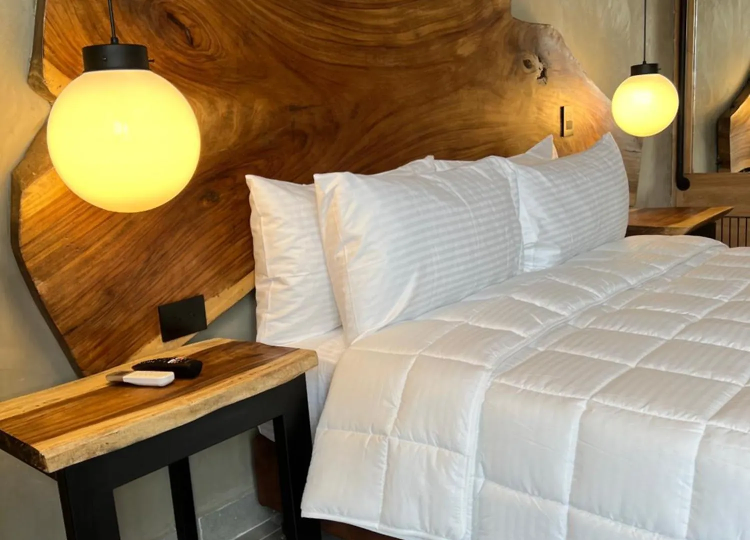 Hotel Zelva Negra Medellín Colombie